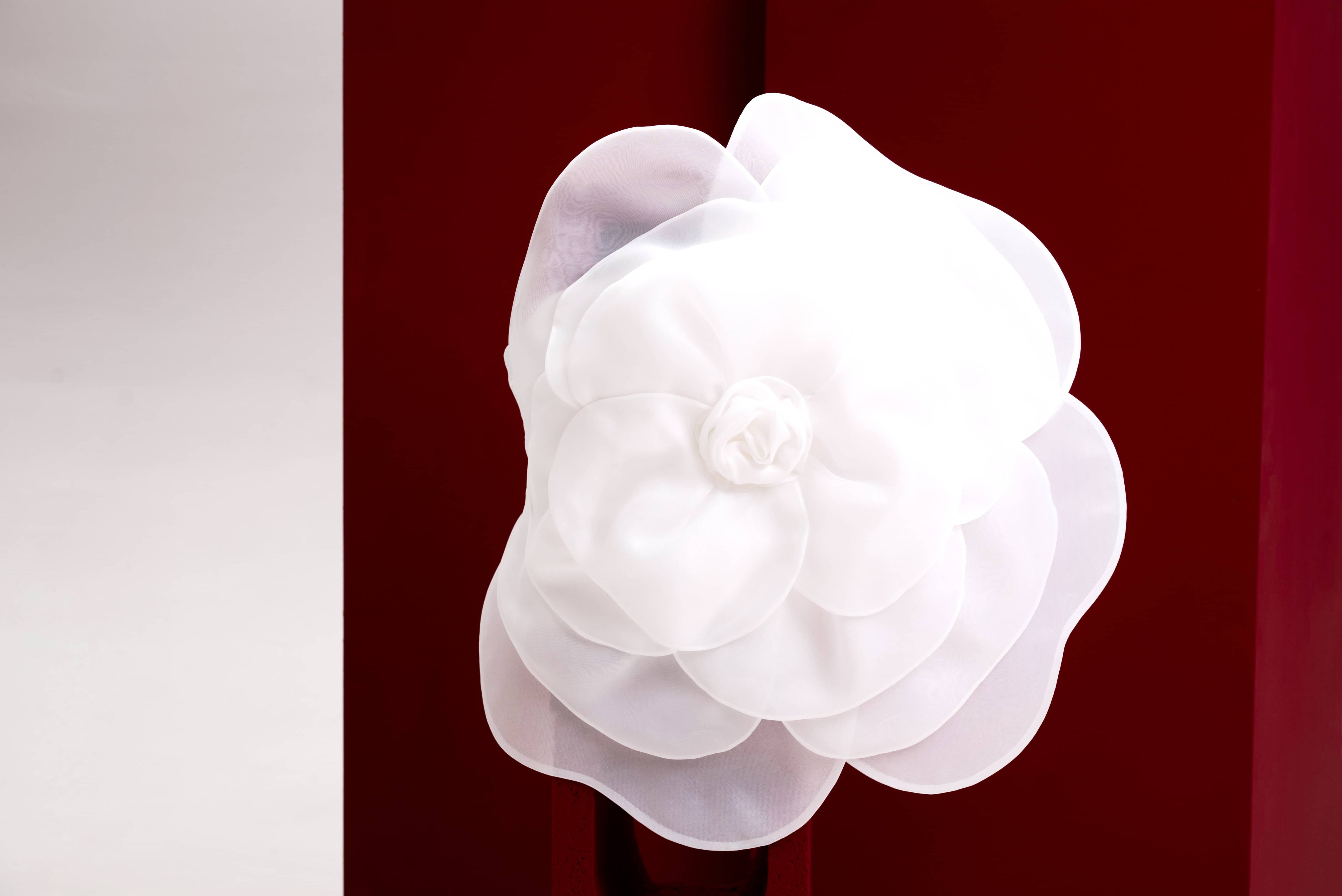 CAMELLIA WHITE TOP
